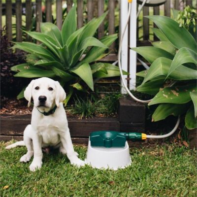 Hoselink Auto-fill Pet Water Bowl