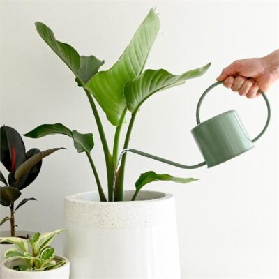 Hoselink Indoor Watering Can