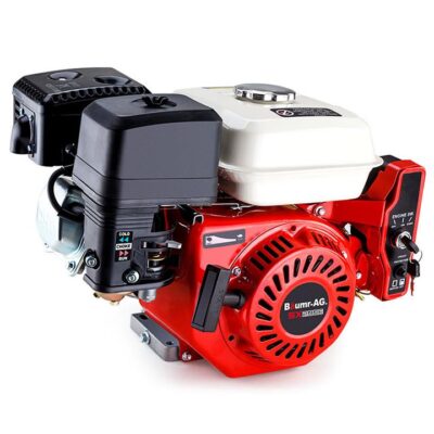 PRE-ORDER BAUMR-AG 6.5HP Petrol Engine Stationary Motor OHV Horizontal Shaft Electric Start Recoil